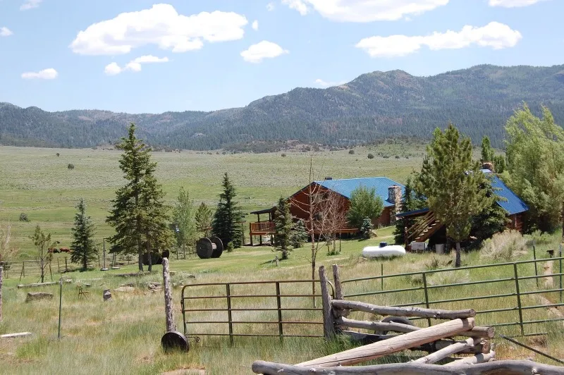 Little Creek Cabin photo 17