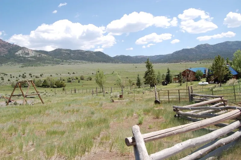 Little Creek Cabin photo 18